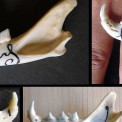 Gravure sur mandibule de chat montée sur bague et barettes. 2012-2015.